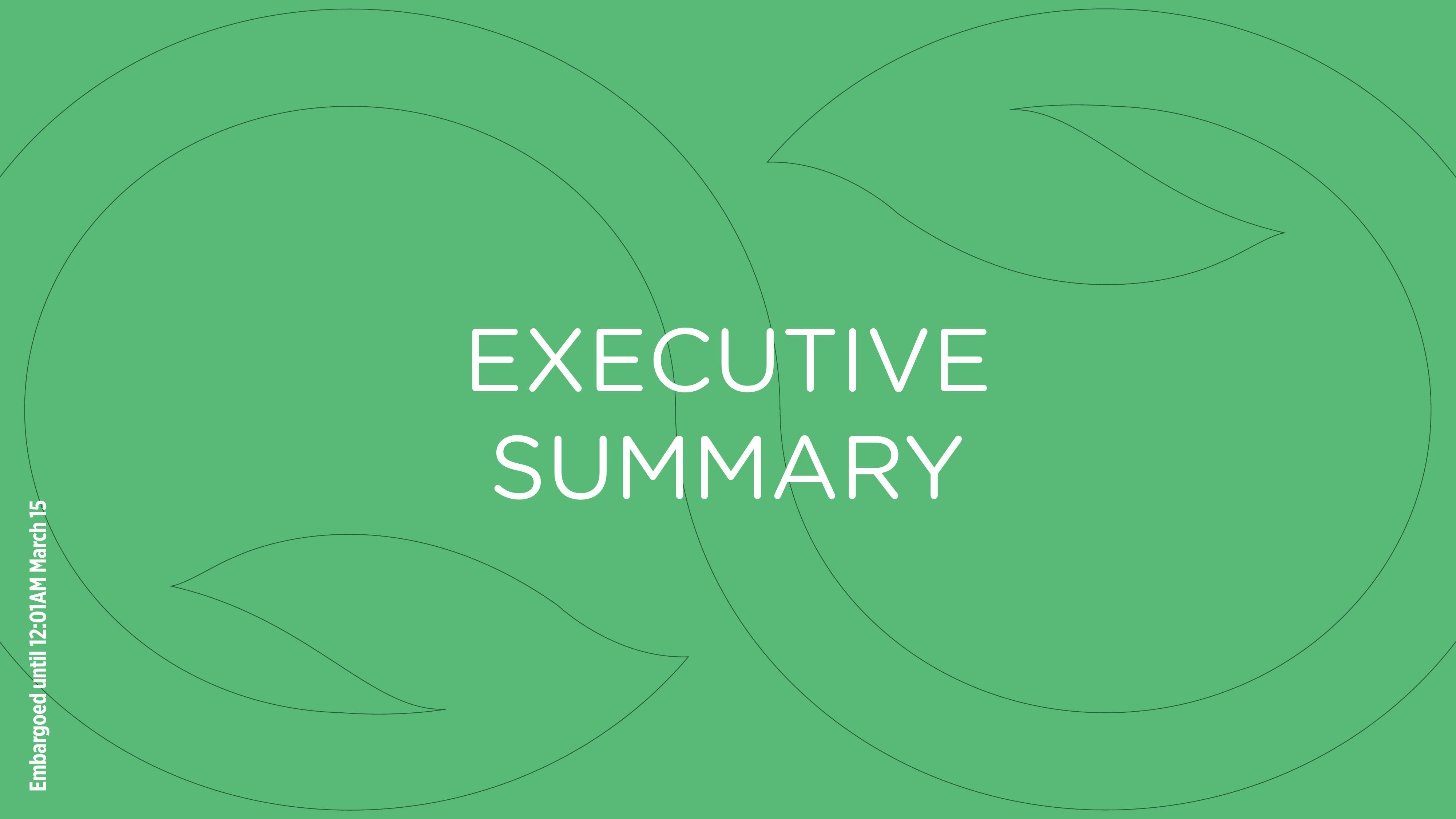 EXECUTIVE SUMMARY cover page