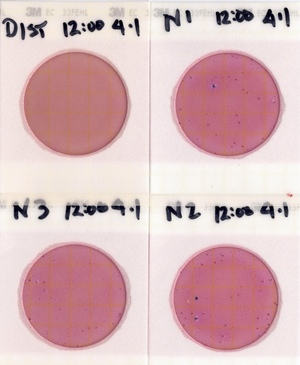 [Plates, Nankin Boat Ramp 2022-04-01]