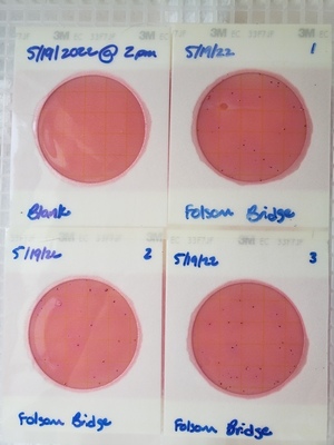[Plates, Folsom Bridge Landing 2022-05-19]