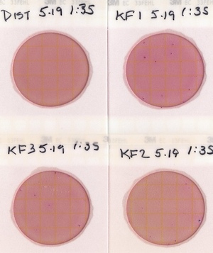 [Plates, Knights Ferry Boat Ramp]