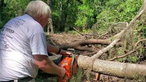[Movie: Sawing another limb (77M)]