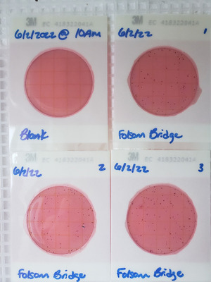 [Plates, Folsom Bridge Landing 2022-06-02]