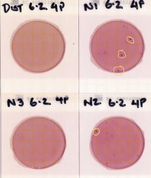 [Plates, Nankin Boat Ramp 2022-06-02]