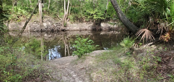 South Troupville Little River Fishing, 09:29:43, 30.8484337, -83.3483591