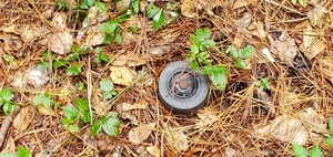 [A wheel, 10:03:35, 30.8481953, -83.3463708]