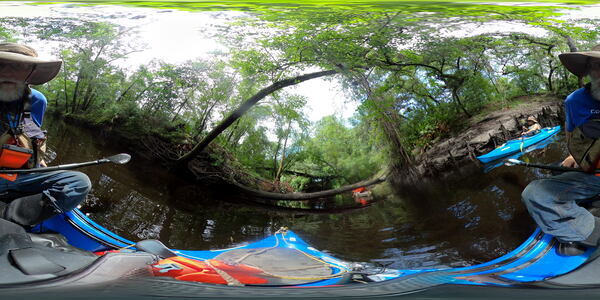 One under Beaty Deadfall, , 11:42:50, 30.6163301, -83.0795180