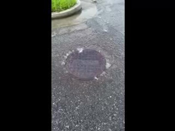[Movie: First seen, Manhole 1 next to Baytree Trash Trap]