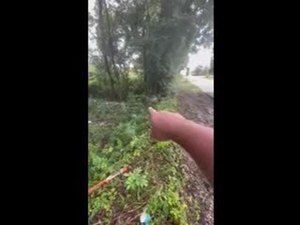 [Movie: First seen, Manhole 2 across Baytree Road]