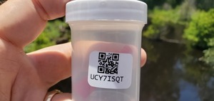 [Cat Creek @ Cat Creek Road, DNA UCY7ISQT 2022-07-21]