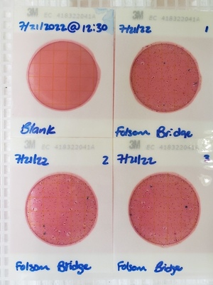 [Plates, Folsom Bridge Landing 2022-07-21]