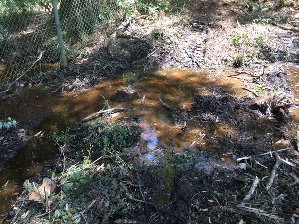 Sewage overflow beyond fence, S corner, 2022:07:26 15:20:48, 30.7902444, -83.5410083