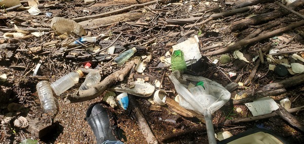 [Trash just below Sugar Creek Landing, 11:27:42, 30.8603257, -83.3240863]