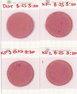 [Plates, Knights Ferry Boat Ramp 2022-08-25]