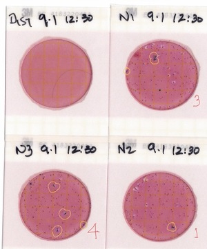 [Plates, Nankin Boat Ramp 2022-09-01]