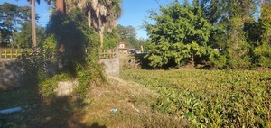 [Pipe with trash, 2022:10:18 09:09:44, 30.8470240, -83.2798049]