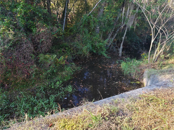 [Beaverdam Creek @ Main Street 2022-11-03]