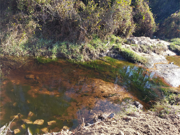 [Beaverdam Creek @ Ramblinwood Road 2022-11-03]