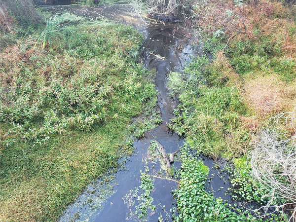 [Cat Creek @ GA 122 2022-11-03]