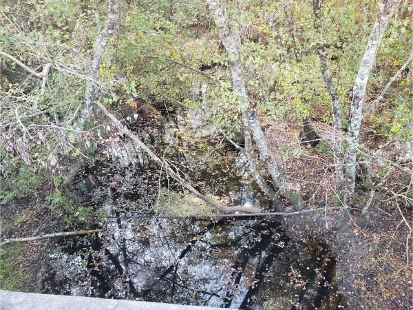 [Cat Creek @ GA 37 2022-11-03]