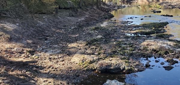 [Horizontal timbers in the Little River, 11:05:17, 30.8519297, -83.3472014]
