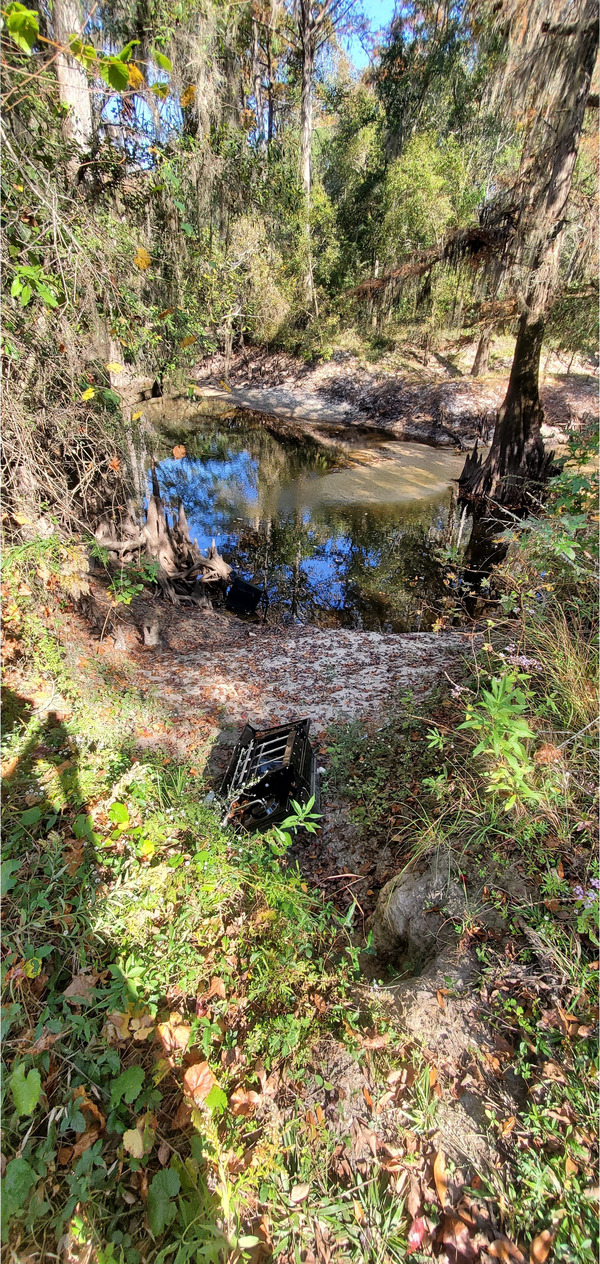 [Down to Withlacoochee River below I-75, 11:42:20, 30.8536642, -83.3329751]