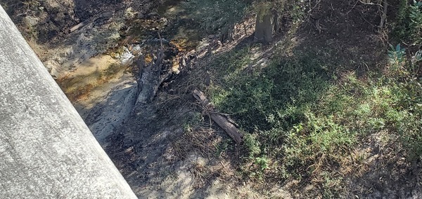 Closer Ziegler Creek? 13:36:10, 30.948845, -83.271743