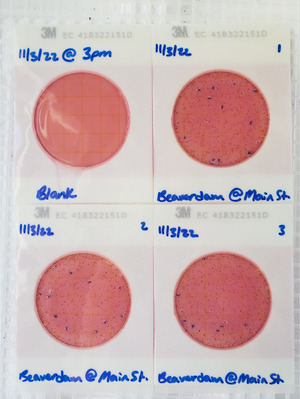 [Plates, Beaverdam Creek @ Main Street 2022-11-03]