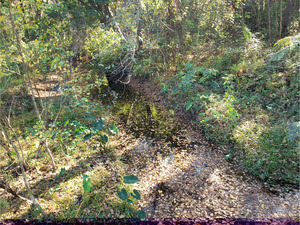 [Other, Beaverdam Creek @ Park Street 2022-11-03]