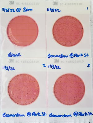 [Plates, Beaverdam Creek @ Park Street 2022-11-03]