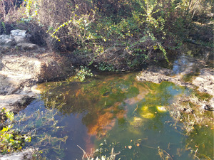 [Other, Beaverdam Creek @ Ramblinwood Road 2022-11-03]