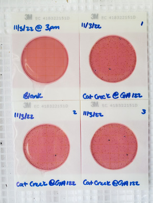 [Plates, Cat Creek @ GA 122 2022-11-03]