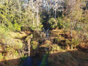 [Upstream, Cat Creek @ GA 37 2022-11-03]