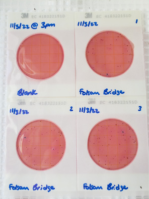 [Plates, Folsom Bridge Landing 2022-11-03]