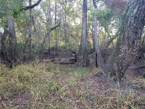[Couch, Hagan Bridge Landing, Withlacoochee River @ GA 122 2022-11-03]