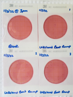 [Plates, Lakeland Boat Ramp 2022-11-03]