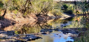 [Shoals, Little River, below GA 133 Bridge, 11:04:47, 30.8519297, -83.3472014]
