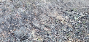 [More horizontal timbers, 11:05:38, 30.8519300, -83.3472010]