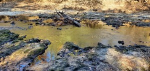 [Dam trenches across the Little River, 11:05:49, 30.8519664, -83.3472043]