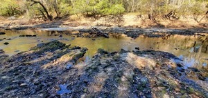 [Context, dam trenches, Little River, 11:05:52, 30.8519664, -83.3472043]