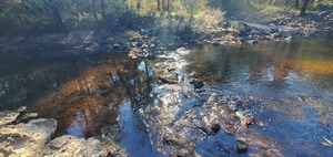 [Sample site and Troupville Boat Ramp, 11:07:46, 30.8518430, -83.3473349]