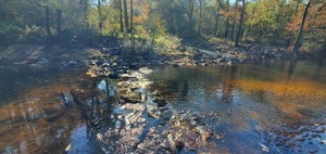[Sample site, 11:07:50, 30.8518430, -83.3473349]