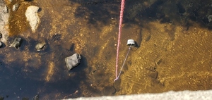 [Bucket in Withlacoochee River @ GA 133, 11:22:21, 30.8499530, -83.3397190]