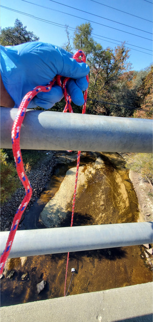[GA 133 Bridge, Bucket, Withlacoochee River downstream, 11:22:43, 30.8499525, -83.3397189]