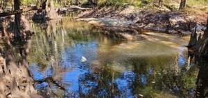 [Bucket in Withlacoochee River below I-75, 11:53:33, 30.8536398, -83.3329897]