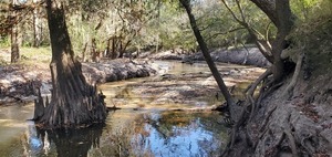 [Downstream Withlacoochee River below I-75, 11:53:37, 30.8536398, -83.3329897]