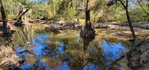 [Up and down Withlacoochee River below I-75, 11:53:42, 30.8536398, -83.3329897]