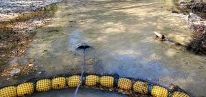 [Closeup bucket in Sugar Creek, 12:08:39, 30.8625666, -83.3186280]