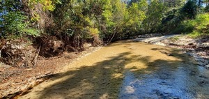 [Upstream Sugar Creek, 12:09:07, 30.8625666, -83.3186280]