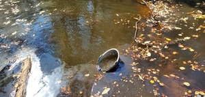 [Closeup, Bucket above Langdale Park Boat Ramp, Withlacoochee River, 12:28:57, 30.8876, -83.32415]