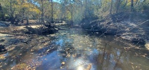 [Downstream deadfall, Withlacoochee River @ Langdale Park Boat Ramp, 12:29:05, 30.8876, -83.32415]